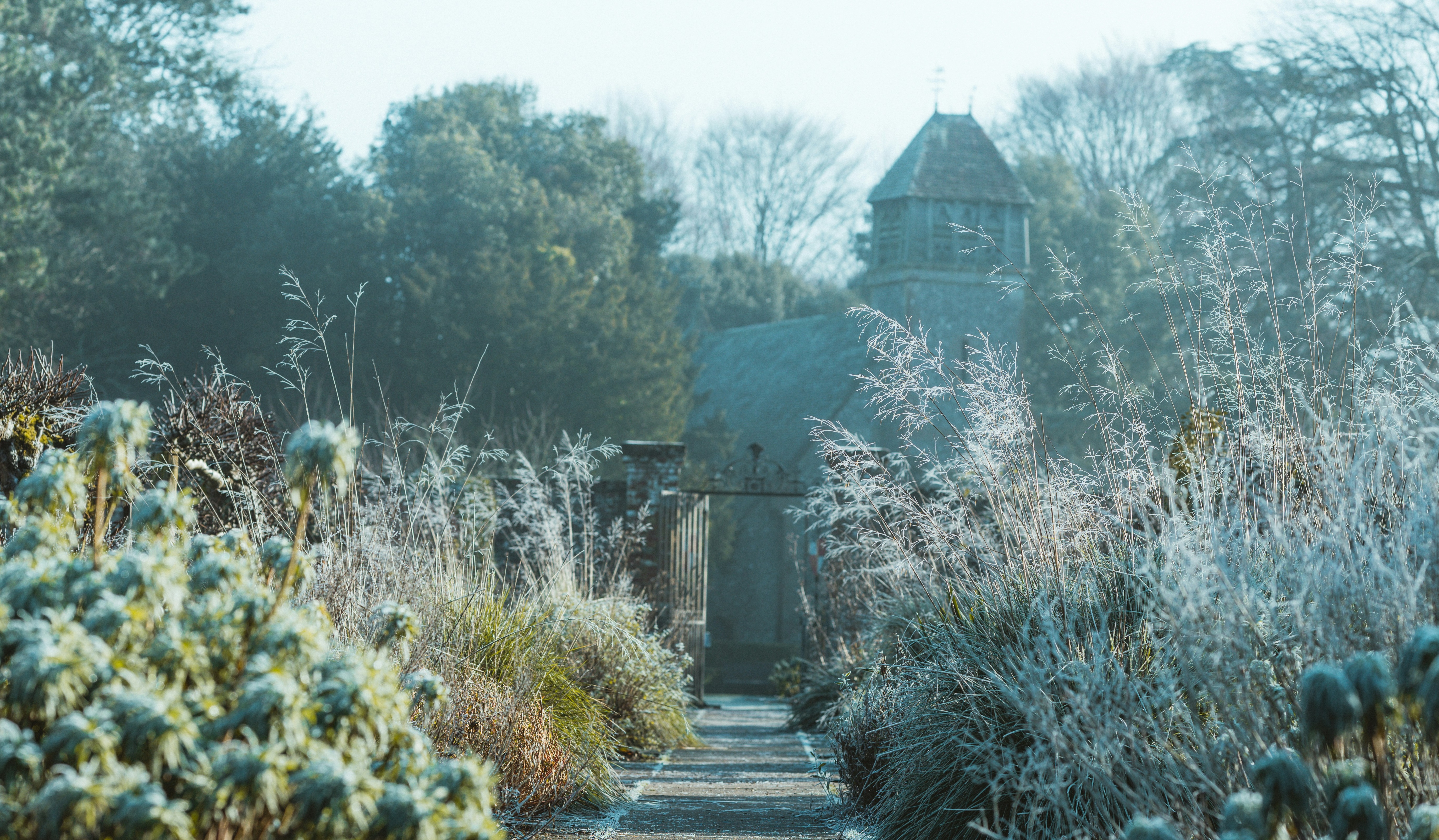 Annie Spratt auf Unsplash