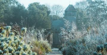 Annie Spratt auf Unsplash